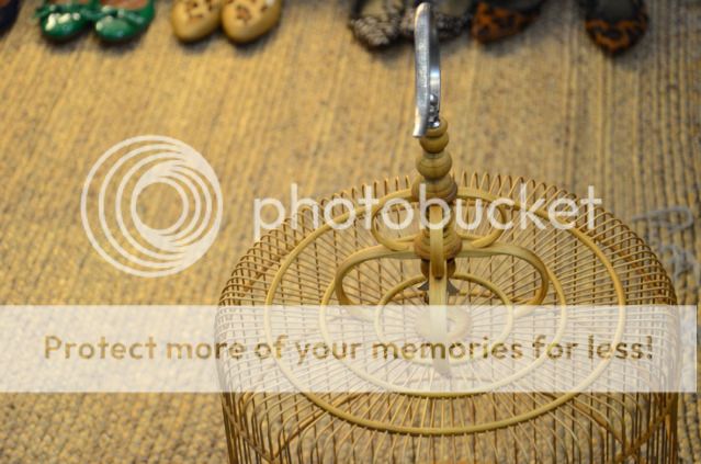 longchimbienhoa1982 - 4