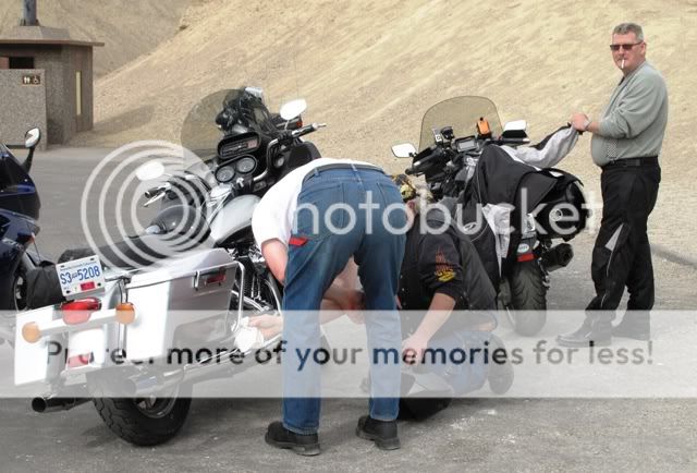 Posted Image