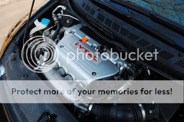 http://i553.photobucket.com/albums/jj385/JonnyKrud/DSC_2079.jpg