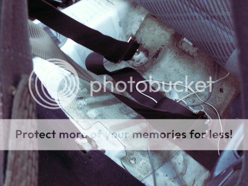 Posted Image