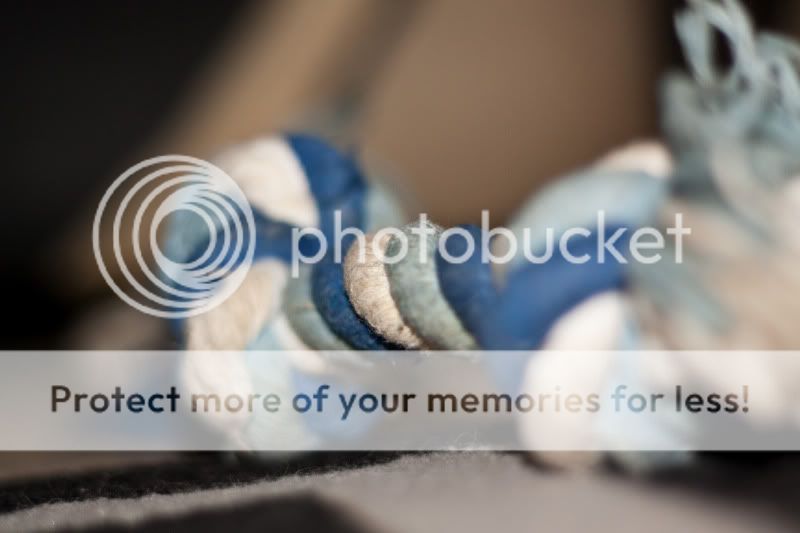 IMAGE: http://i553.photobucket.com/albums/jj397/rick0980/IMG_6349.jpg