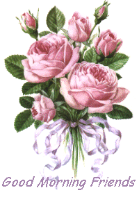 0ribbpinkrosebch25252520morning.gif